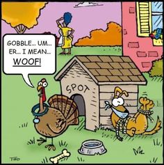 a cartoon turkey and dog in front of a dog house with the caption gobble umer i mean woo?