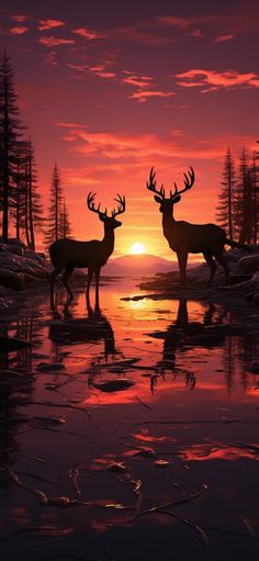 two deer standing next to each other in front of a sunset on the water with trees