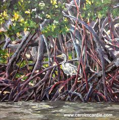 an oil painting of a bird in the mangroves