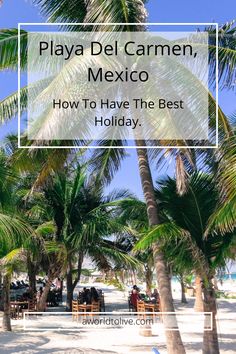 palm trees on the beach with text overlay that reads playa del carman, mexico how to have the best holiday