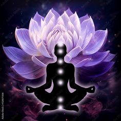 the silhouette of a person sitting in front of a purple lotus flower on a black background