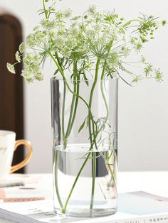 a glass vase filled with water and flowers on top of a table next to a coffee cup