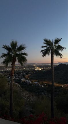 two palm trees in front of a city at night