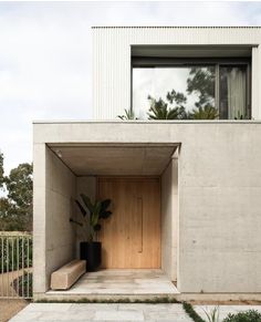 an entrance to a house with a plant in the corner and concrete walls on either side