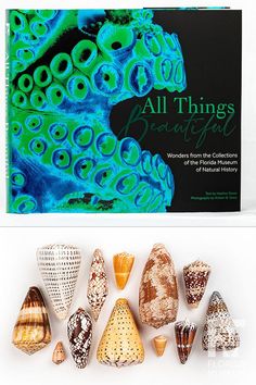 two images upper image is of the book cover, lower image is of many shells with distinct and unique patterns and colors All Things Beautiful, Museum Of Natural History, Natural History Museum, History Museum, Make Up