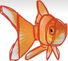 a drawing of a goldfish with red lines on it's body and head