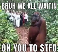 an orangutan standing in the middle of a forest with people behind it