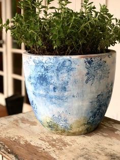 a potted plant sitting on top of a wooden table