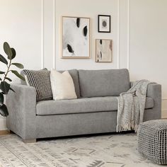 a living room scene with focus on the couch and rug, which has been placed in front of two framed pictures