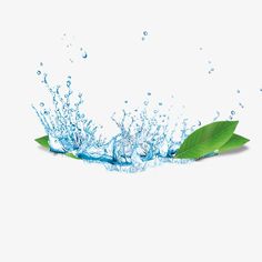 green leaves and water splashing on white background