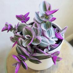 purple flowers are in a white vase on a table