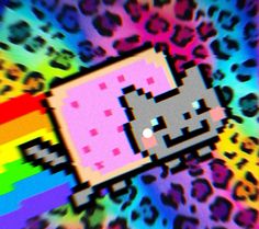 an old computer screen with a cat on it's face in front of a rainbow colored background