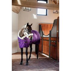 a brown horse wearing a purple blanket standing in an enclosed area