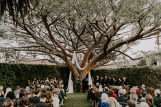 an outdoor ceremony is being held under a large tree