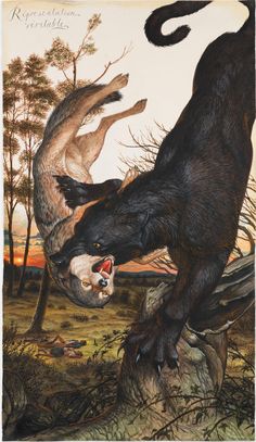 an animal attacking another animal on the ground with trees in the background and sky above