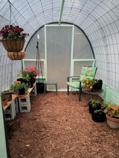 the inside of a greenhouse with plants and chairs