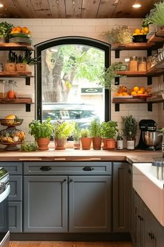 a kitchen filled with lots of potted plants