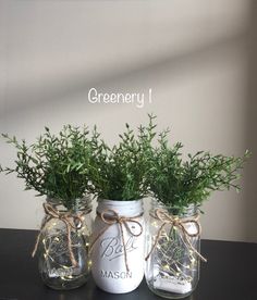 three mason jars with plants in them are sitting on a table next to the words greenery