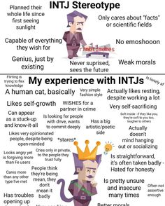 Intj Stereotype Vs Reality, Intj Personality Traits, Intj Vibes, Intj Characters, Entp And Intj, Intj Humor, Personalidad Enfp, Intj Enfp, 16 Personality Types