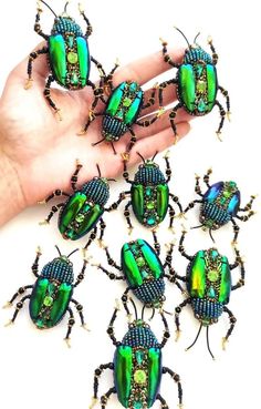 a hand holding several green and black bugs on it's fingers, with other beetles in the background