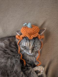 a cat wearing an orange crochet hat on top of it's head