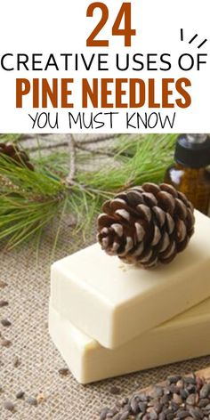 pine needles are used to make soaps for the skin and body, with pine cones on top