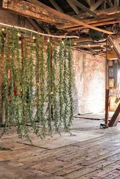 an old room with vines hanging from the ceiling and lights on the wall above it