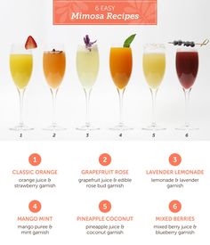 an info sheet describing the different types of drinks