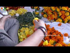 a person cutting flowers with scissors on a table covered in yellow and orange flowers,