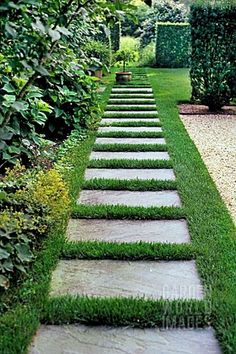 a stone path in the middle of a garden with grass growing on it and bushes