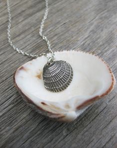 Tiny seashell pendant sterling silver mollusk shell A good friend's favorite beach combing find from the Gulf of Mexico. I believe this is a cross-barred venus clam. I made a mold of the small shell and now it is here for you as a pendant. Cast in solid sterling silver. Gently oxidized to bring out the amazing texture & detail. A great gift for a surfer, foodie, beach comber or mermaid. sterling cable chain is 20 inches oxidized sterling silver mollusk is 1/2 inch tall. Made in NY thanks for Ocean-inspired Sterling Silver Charm Necklaces, Silver Beach Pendant Shell, Ocean-inspired Silver Sterling Charm Necklaces, Silver Sterling Silver Shell Pendant Necklace, Sterling Silver Shell-shaped Gift, Sterling Silver Shell Necklace For Gift, Nickel-free Silver Shell As Gift, Sterling Silver Shell Pendant Necklace As Gift, Silver Shell Pendant For Beach