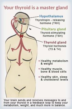 hypothyroidism and menopause Low Energy Remedies, Energy Remedies, Thyroid Remedies, Thyroid Imbalance, Low Thyroid, Thyroid Function