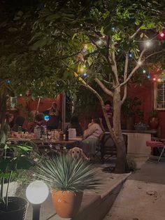 people sitting at tables under trees with lights strung from the branches and around them are potted plants