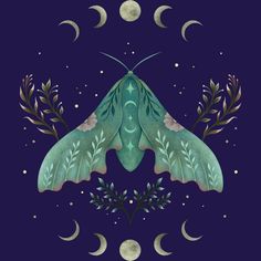 a blue moth with leaves and crescents on it's wings in the night sky