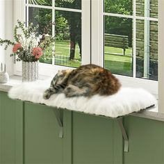 a cat laying on top of a window sill