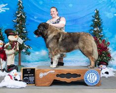 a large dog standing on top of a wooden stand next to snowmen and trees