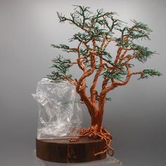 a small bonsai tree is sitting on a wooden base with plastic wrap around it