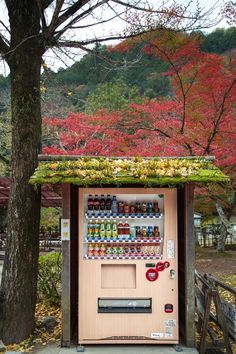 a vending machine in front of a tree with red and green leaves on it