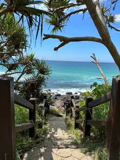 a path leading to the ocean with trees on either side