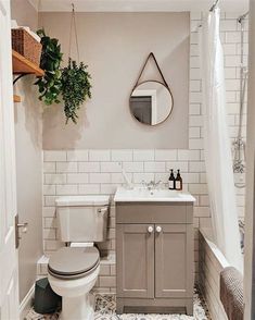 a white toilet sitting next to a sink in a bathroom under a mirror and potted plant