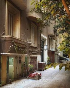 an old building with lots of windows and plants on the sidewalk in front of it