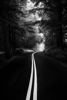 an empty road in the middle of a forest with trees on both sides and white lines painted on the side