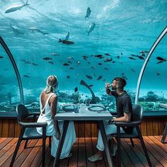 two people sitting at a table in front of an aquarium