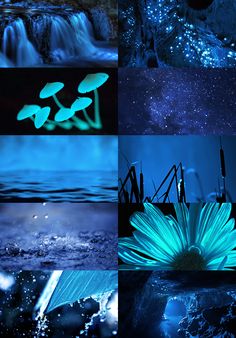 blue and green images are shown in this collage