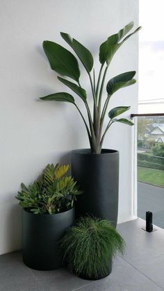 two planters sitting next to each other near a window