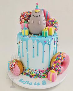 a birthday cake decorated with sprinkles, donuts and a cat