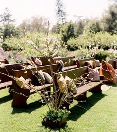 a row of benches sitting on top of a lush green field