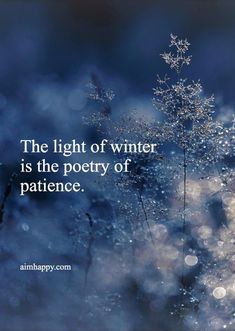 the light of winter is the poetry of patience