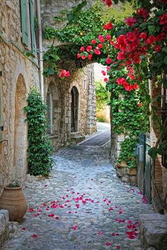 an alley way with red flowers growing on the walls and stone steps leading up to it