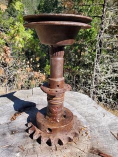 an old rusted metal object sitting on top of a tree stump